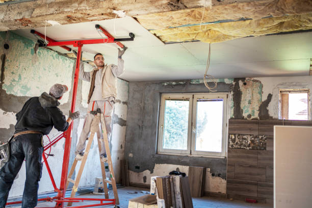 Best Insulation Maintenance and Repair in Summer Set, MO